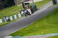 cadwell-no-limits-trackday;cadwell-park;cadwell-park-photographs;cadwell-trackday-photographs;enduro-digital-images;event-digital-images;eventdigitalimages;no-limits-trackdays;peter-wileman-photography;racing-digital-images;trackday-digital-images;trackday-photos